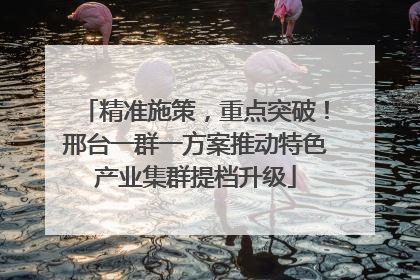 精准施策，重点突破！邢台一群一方案推动特色产业集群提档升级