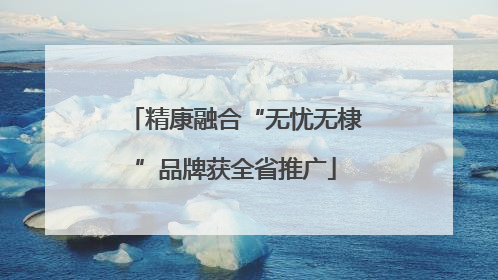精康融合“无忧无棣”品牌获全省推广