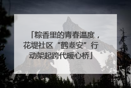 粽香里的青春温度，花堤社区“鹤耋安”行动架起跨代暖心桥