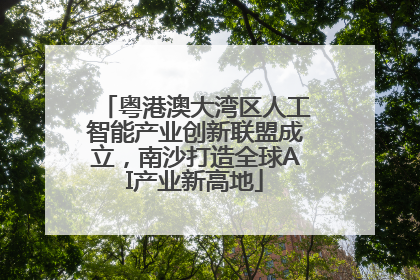 粤港澳大湾区人工智能产业创新联盟成立，南沙打造全球AI产业新高地