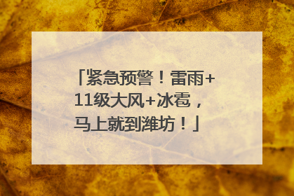 紧急预警！雷雨+11级大风+冰雹，马上就到潍坊！