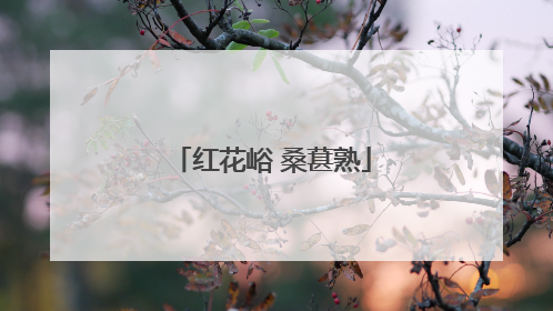 红花峪 桑葚熟