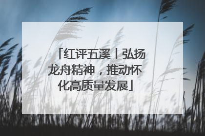 红评五溪丨弘扬龙舟精神，推动怀化高质量发展