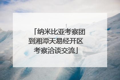 纳米比亚考察团到湘潭天易经开区考察洽谈交流
