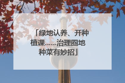 绿地认养、开种植课……治理圈地种菜有妙招