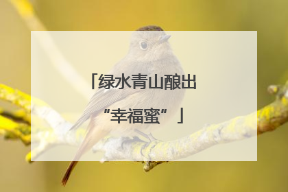 绿水青山酿出“幸福蜜”