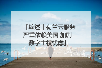 综述丨荷兰云服务严重依赖美国 加剧数字主权忧虑