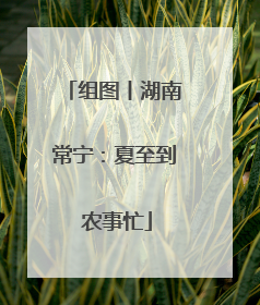 组图丨湖南常宁：夏至到 农事忙