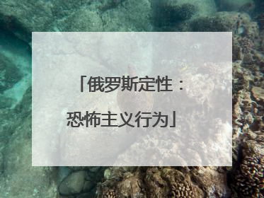 俄罗斯定性：恐怖主义行为