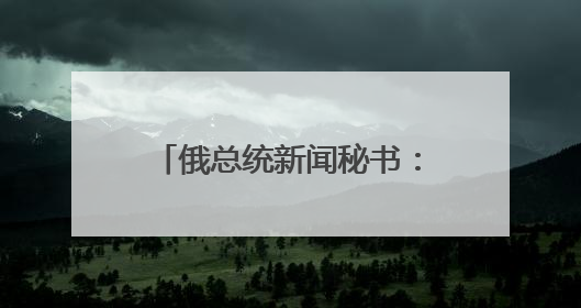 俄总统新闻秘书：待乌克兰回应备忘录草案 俄美乌领导人近期会晤可能性小