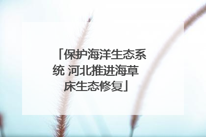 保护海洋生态系统 河北推进海草床生态修复