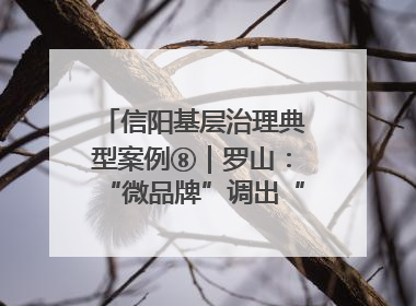 信阳基层治理典型案例⑧｜罗山：“微品牌”调出“大和谐”