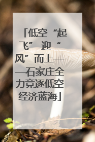 低空“起飞” 迎“风”而上——石家庄全力竞逐低空经济蓝海