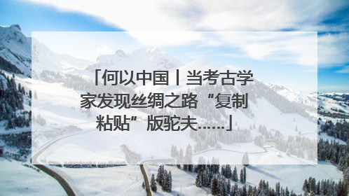 何以中国丨当考古学家发现丝绸之路“复制粘贴”版驼夫……