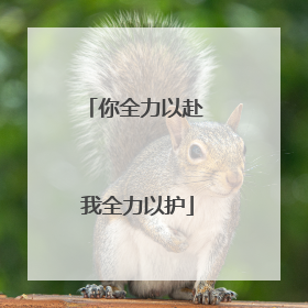 你全力以赴 我全力以护