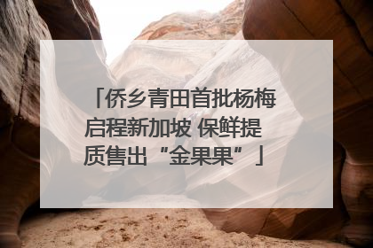 侨乡青田首批杨梅启程新加坡 保鲜提质售出“金果果”