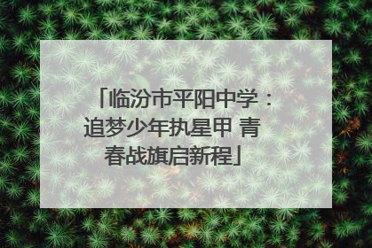 临汾市平阳中学：追梦少年执星甲 青春战旗启新程