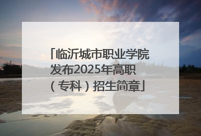 临沂城市职业学院发布2025年高职（专科）招生简章