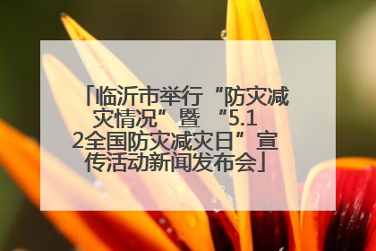 临沂市举行“防灾减灾情况”暨 “5.12全国防灾减灾日”宣传活动新闻发布会