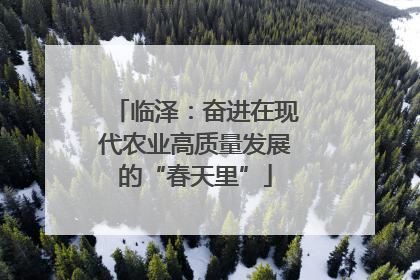 临泽：奋进在现代农业高质量发展的“春天里”