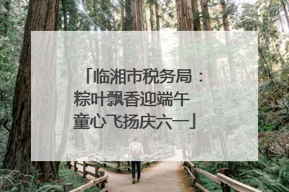临湘市税务局：粽叶飘香迎端午 童心飞扬庆六一