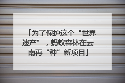 为了保护这个“世界遗产”，蚂蚁森林在云南再“种”新项目