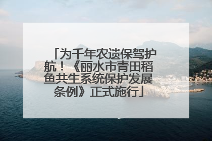 为千年农遗保驾护航！《丽水市青田稻鱼共生系统保护发展条例》正式施行