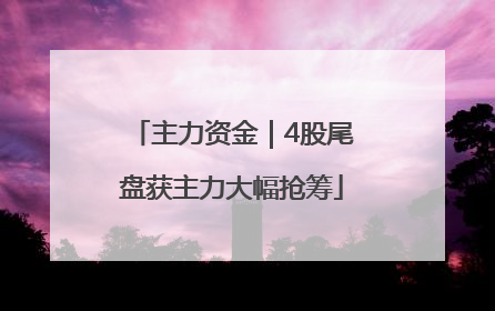 主力资金｜4股尾盘获主力大幅抢筹