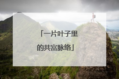 一片叶子里的共富脉络