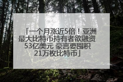 一个月涨近5倍！亚洲最大比特币持有者欲融资53亿美元 豪言要囤积21万枚比特币