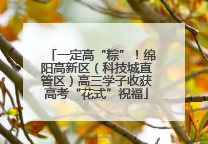 一定高“粽”！绵阳高新区（科技城直管区）高三学子收获高考“花式”祝福