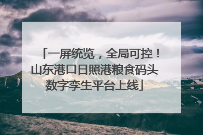 一屏统览，全局可控！山东港口日照港粮食码头数字孪生平台上线
