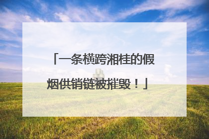 一条横跨湘桂的假烟供销链被摧毁！