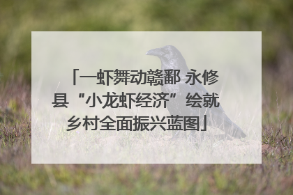 一虾舞动赣鄱 永修县“小龙虾经济”绘就乡村全面振兴蓝图