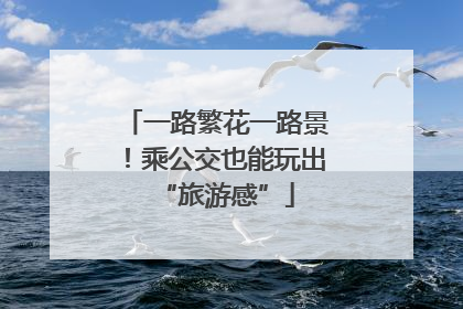 一路繁花一路景！乘公交也能玩出“旅游感”