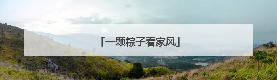 一颗粽子看家风
