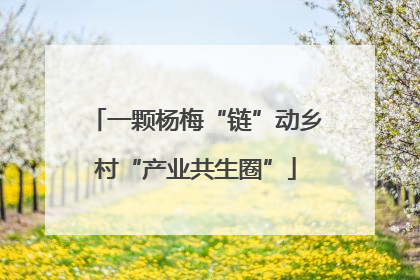 一颗杨梅“链”动乡村“产业共生圈”