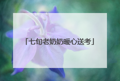 七旬老奶奶暖心送考
