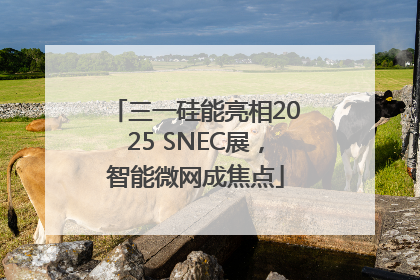 三一硅能亮相2025 SNEC展，智能微网成焦点