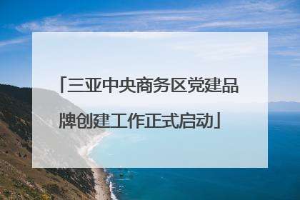三亚中央商务区党建品牌创建工作正式启动