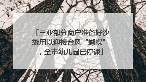 三亚部分商户准备好沙袋用以迎接台风“蝴蝶”，全市幼儿园已停课