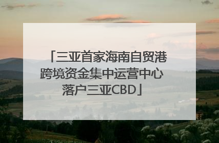 三亚首家海南自贸港跨境资金集中运营中心落户三亚CBD