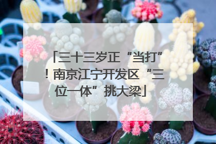 三十三岁正“当打”！南京江宁开发区“三位一体”挑大梁