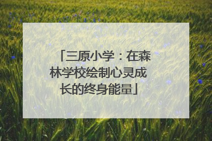 三原小学：在森林学校绘制心灵成长的终身能量