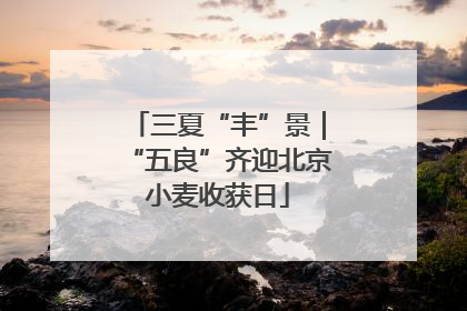三夏“丰”景｜“五良”齐迎北京小麦收获日