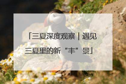 三夏深度观察｜遇见三夏里的新“丰”景