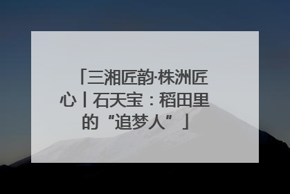 三湘匠韵·株洲匠心丨石天宝：稻田里的“追梦人”