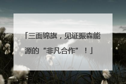 三面锦旗，见证振森能源的“非凡合作”！