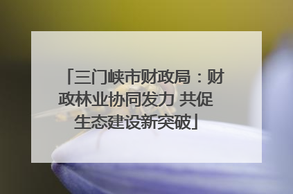 三门峡市财政局：财政林业协同发力 共促生态建设新突破
