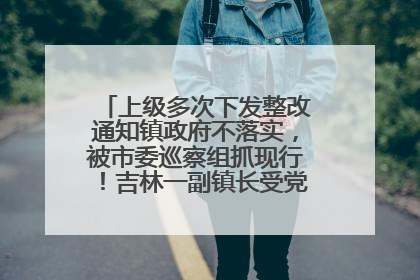 上级多次下发整改通知镇政府不落实，被市委巡察组抓现行！吉林一副镇长受党内警告处分